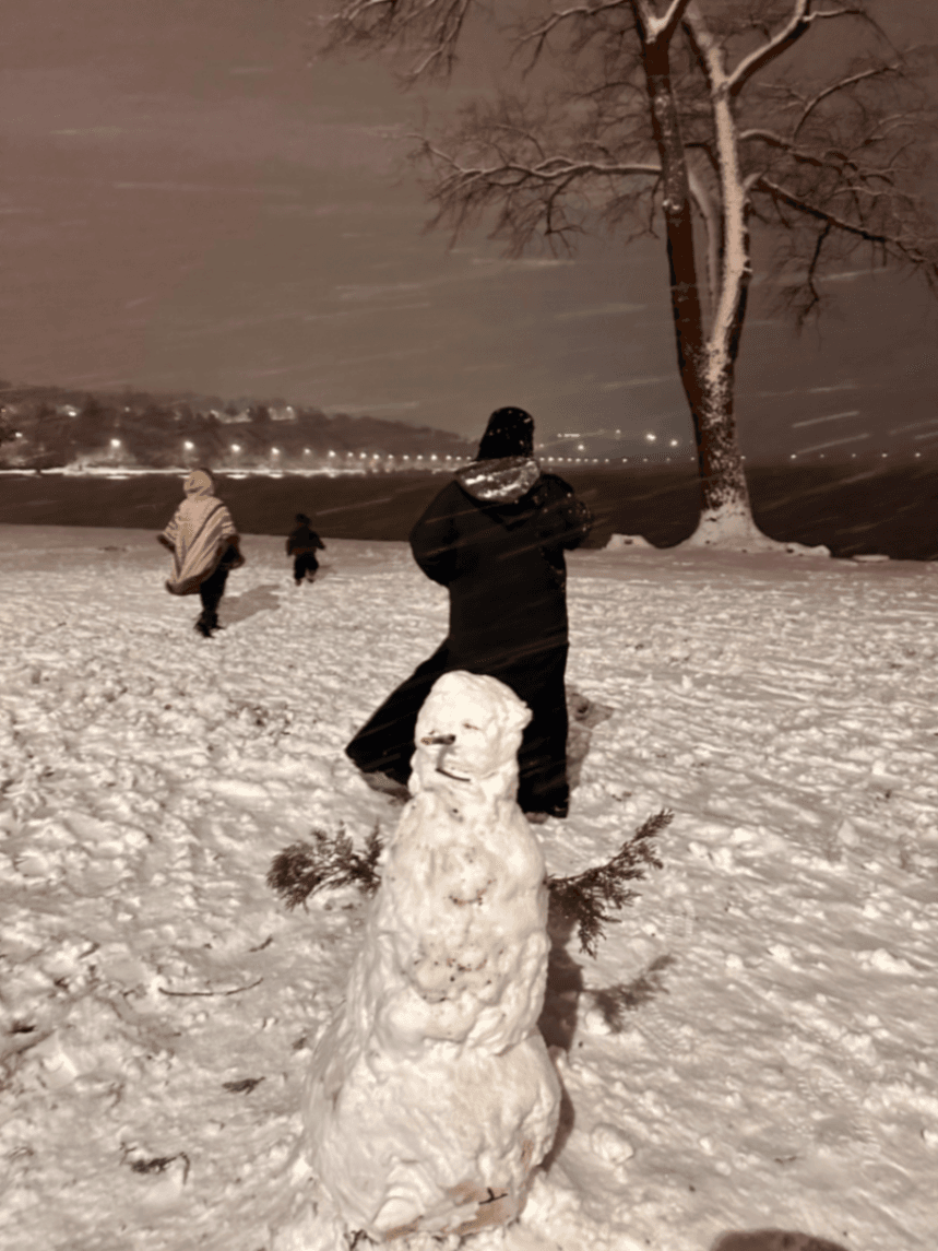 'lostinflowers-მომხმარებლის სურათი