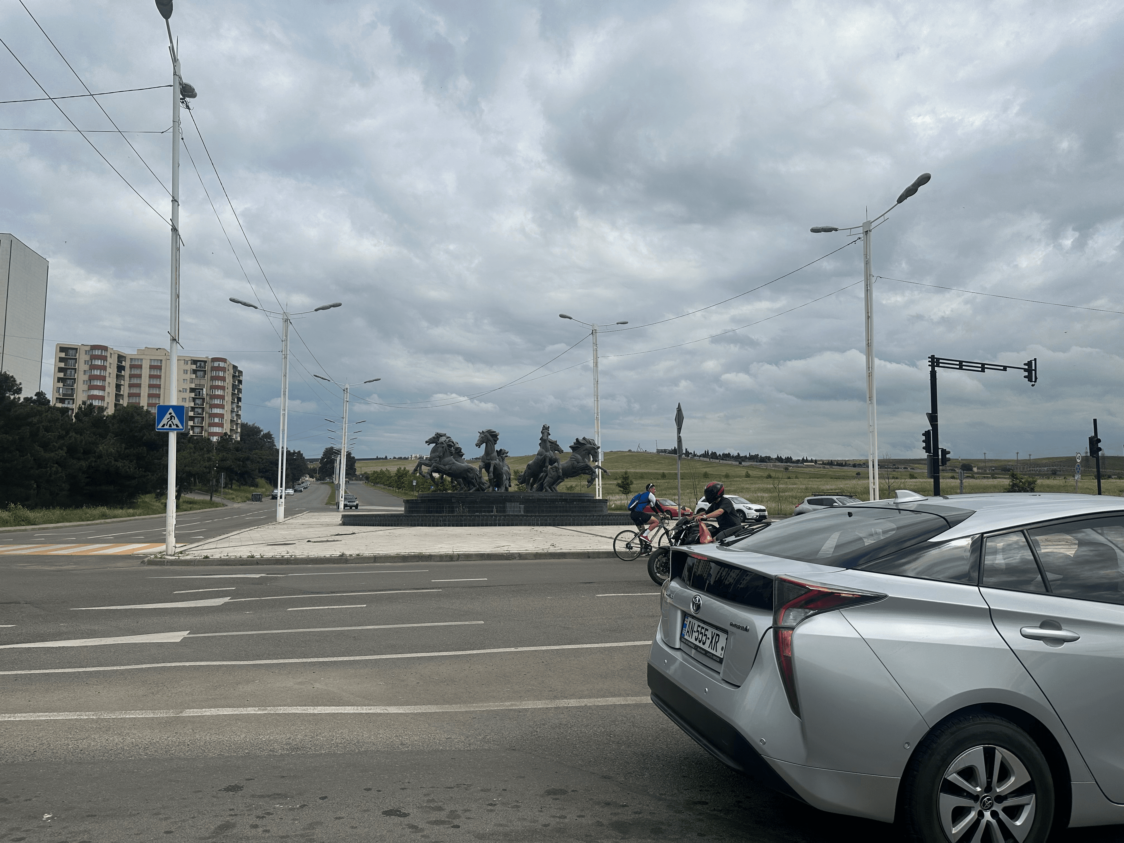ცხენები