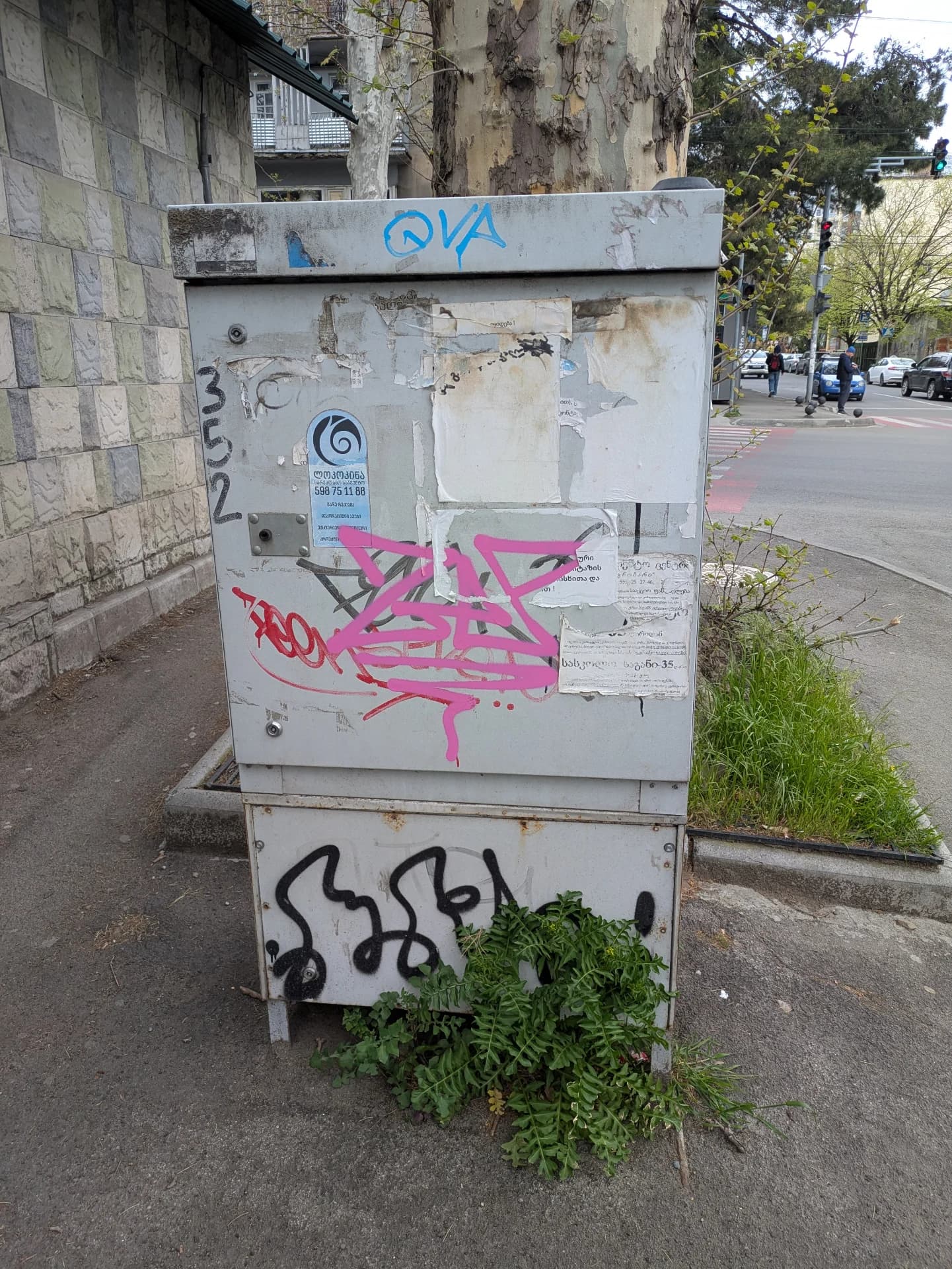 სტუმარ მასპინძელი