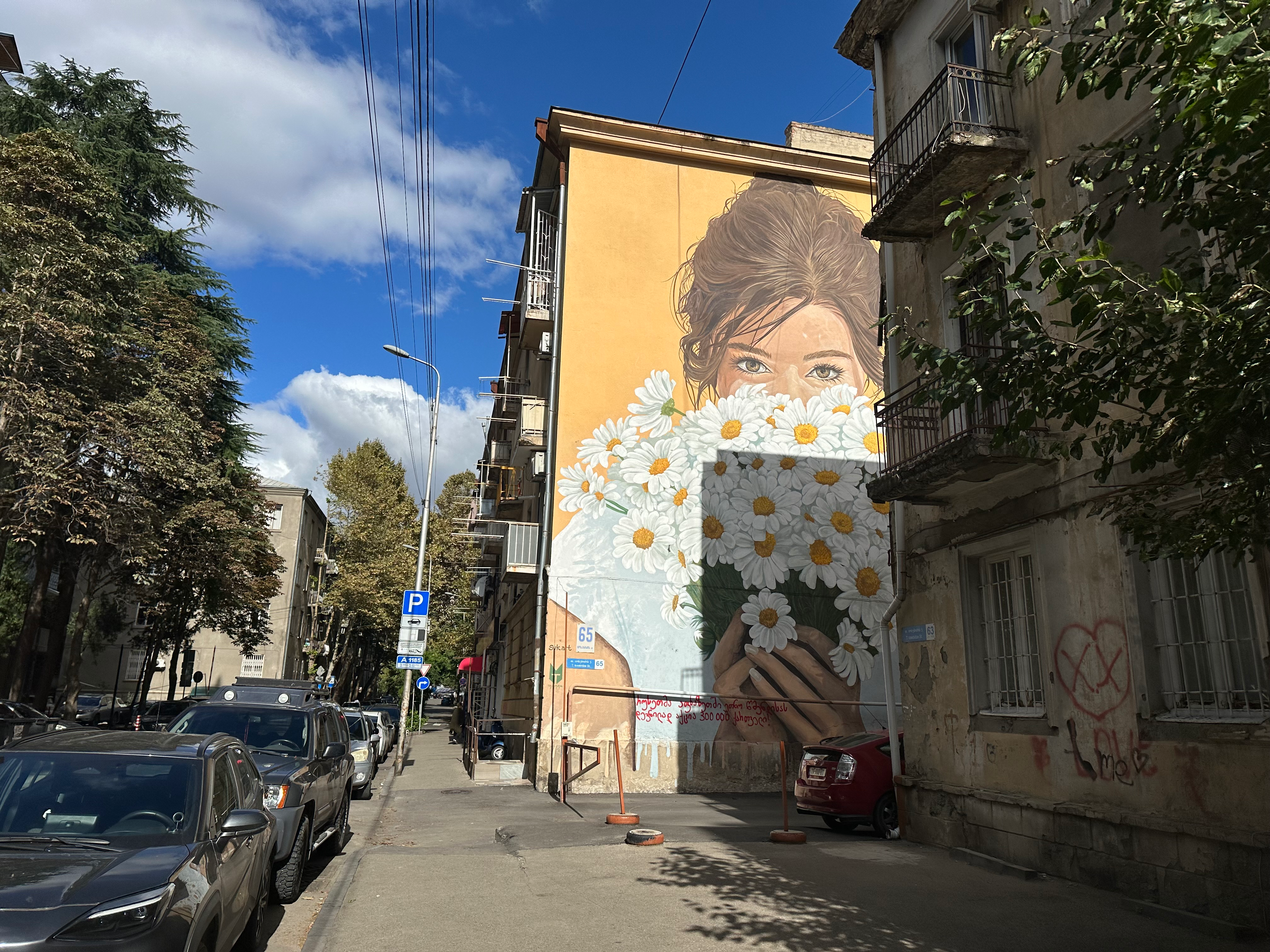 გვირილები
