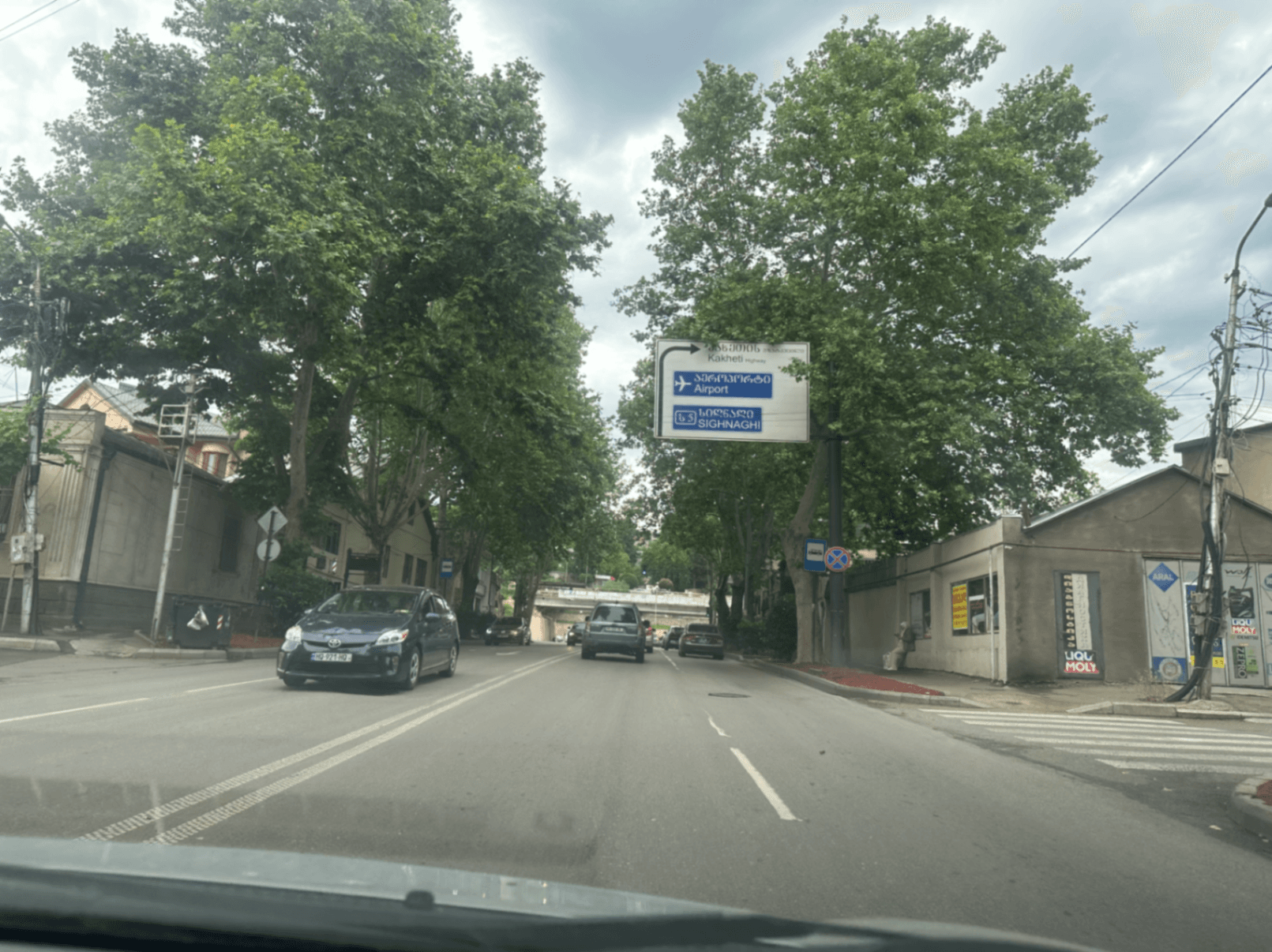 სტუმრად ბუშთან